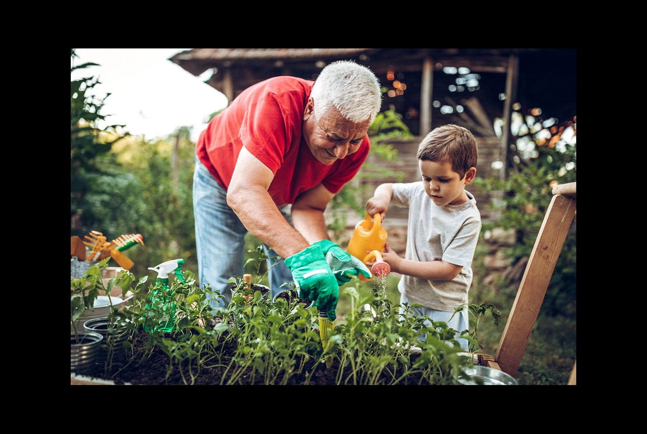 Grandpa and little boy watering plants in their garden